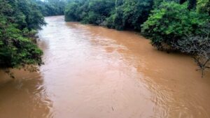 chuvas-intensas-elevam-nivel-do-rio-atibaia-e-colocam-regioes-de-paulinia-em-monitoramento