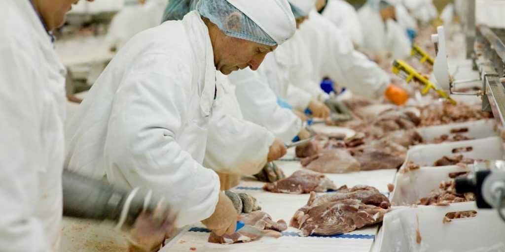 divida-de-r$1-bilhao-e-falencia-decretada:-o-dia-bomba-em-que-empresa-alimenticia-gigante-chegou-ao-fim