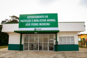 pitbulls-esperam-por-um-novo-comeco-em-feira-de-adocao-especial-em-paulinia