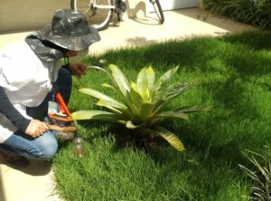 Veja os cuidados necessários para impedir a dengue durante o verão confira-os-cuidados-necessarios-para-evitar-a-dengue-durante-o-verao