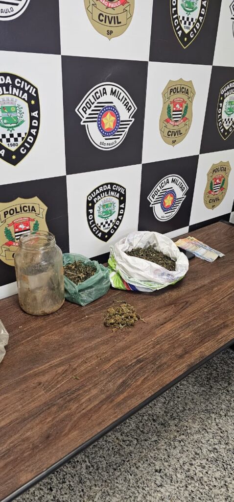 suspeito-tenta-esconder-drogas-em-casinha-de-cachorro,-mas-acaba-preso-por-trafico-em-paulinia