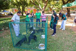 prefeitura-realiza-feiras-de-adocao-pet-nos-dias-4,-11,-18-e-25-de-julho