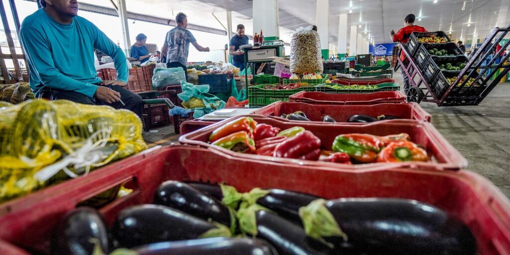 Campanha busca engajamento para diminuir desperdício de alimento campanha-busca-engajamento-para-reduzir-desperdicio-de-alimento