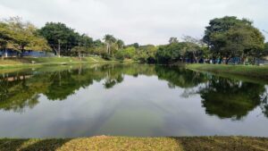Saiba o que abre e fecha em Paulínia durante os feriados do Dia do Servidor e Finados saiba-o-que-abre-e-fecha-em-paulinia-durante-os-feriados-do-dia-do-servidor-e-finados